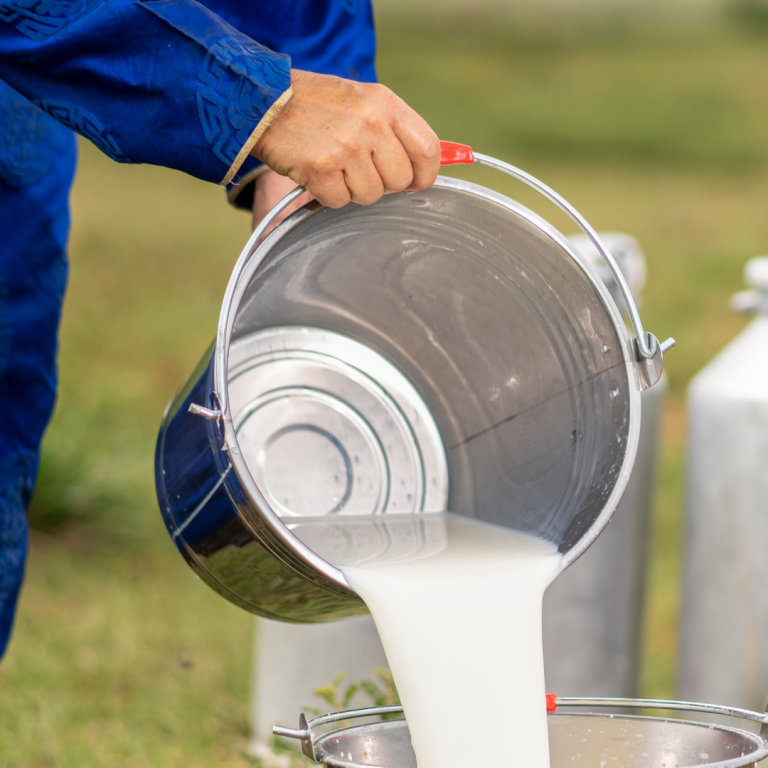 untitled design (21)